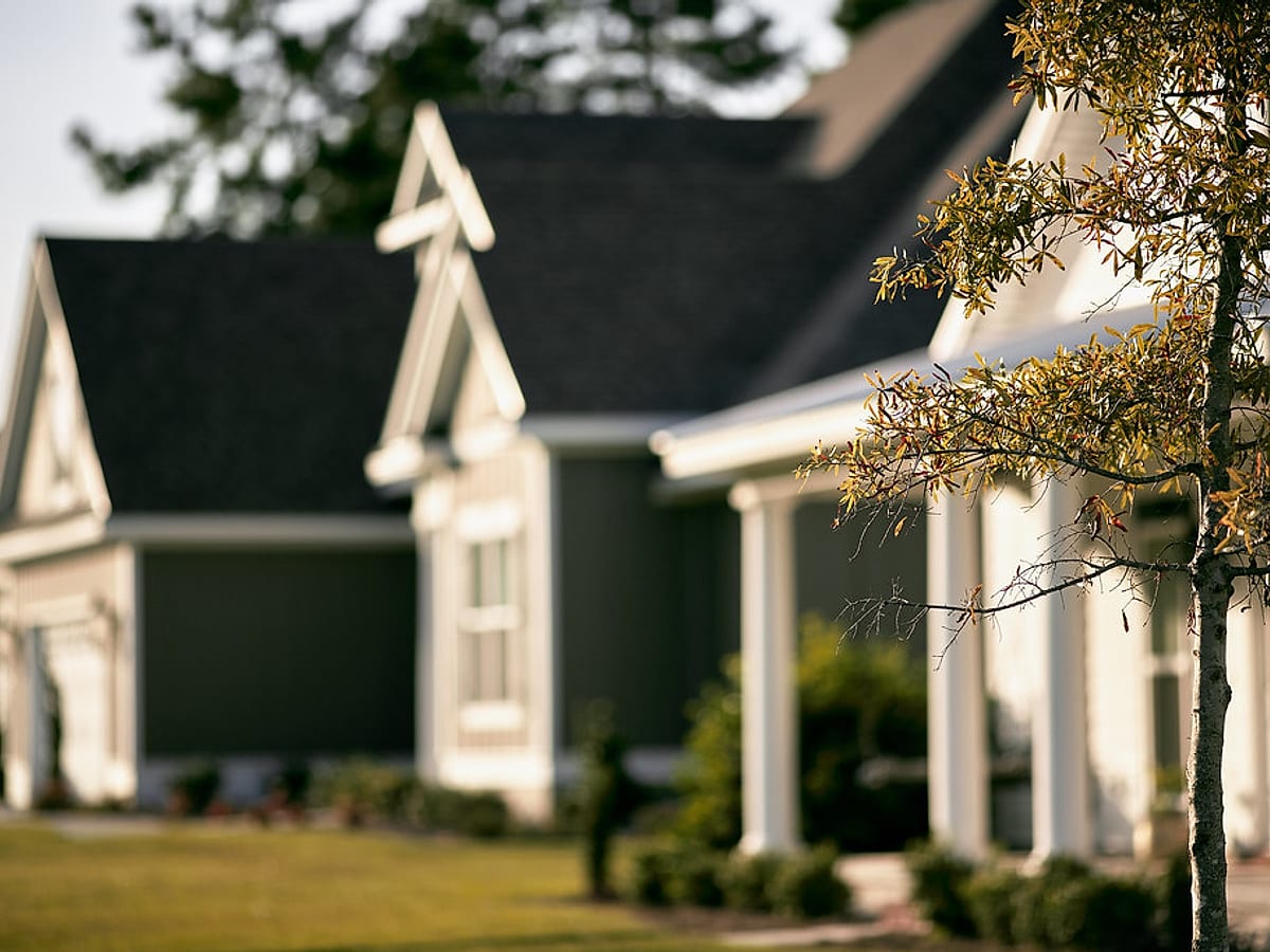 Gables and gutter lines, kept clean — representative imagery, not a Guardian job