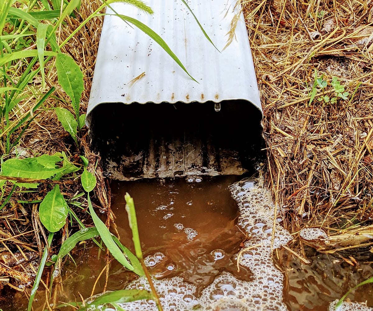 Water moved out and away from the house — representative imagery, not a Guardian job